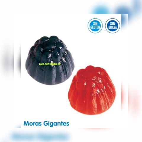 MORAS BRILLO GIGANTES  VIDAL BOLSA 1K 170 UNI APRO