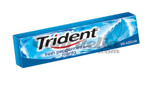 TRIDENT EST. MENTA 24UN STICK